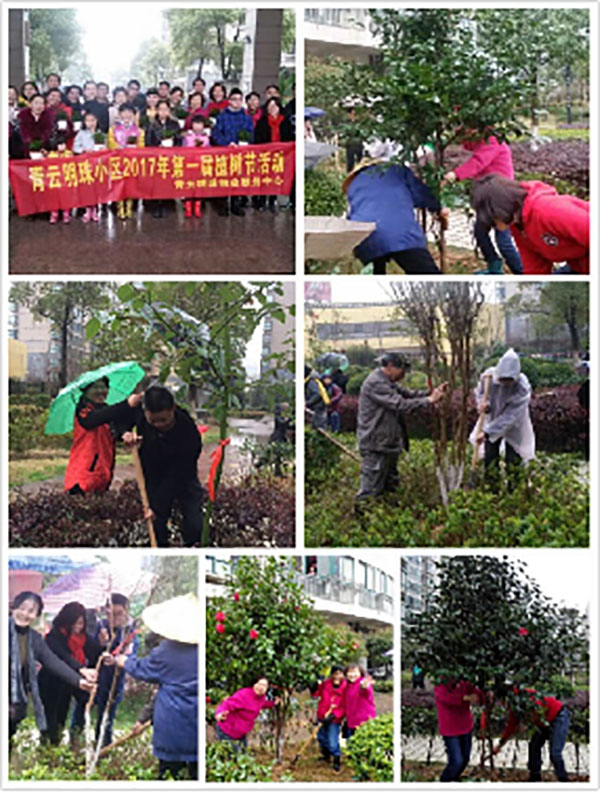 播一片綠林，種一份愛心